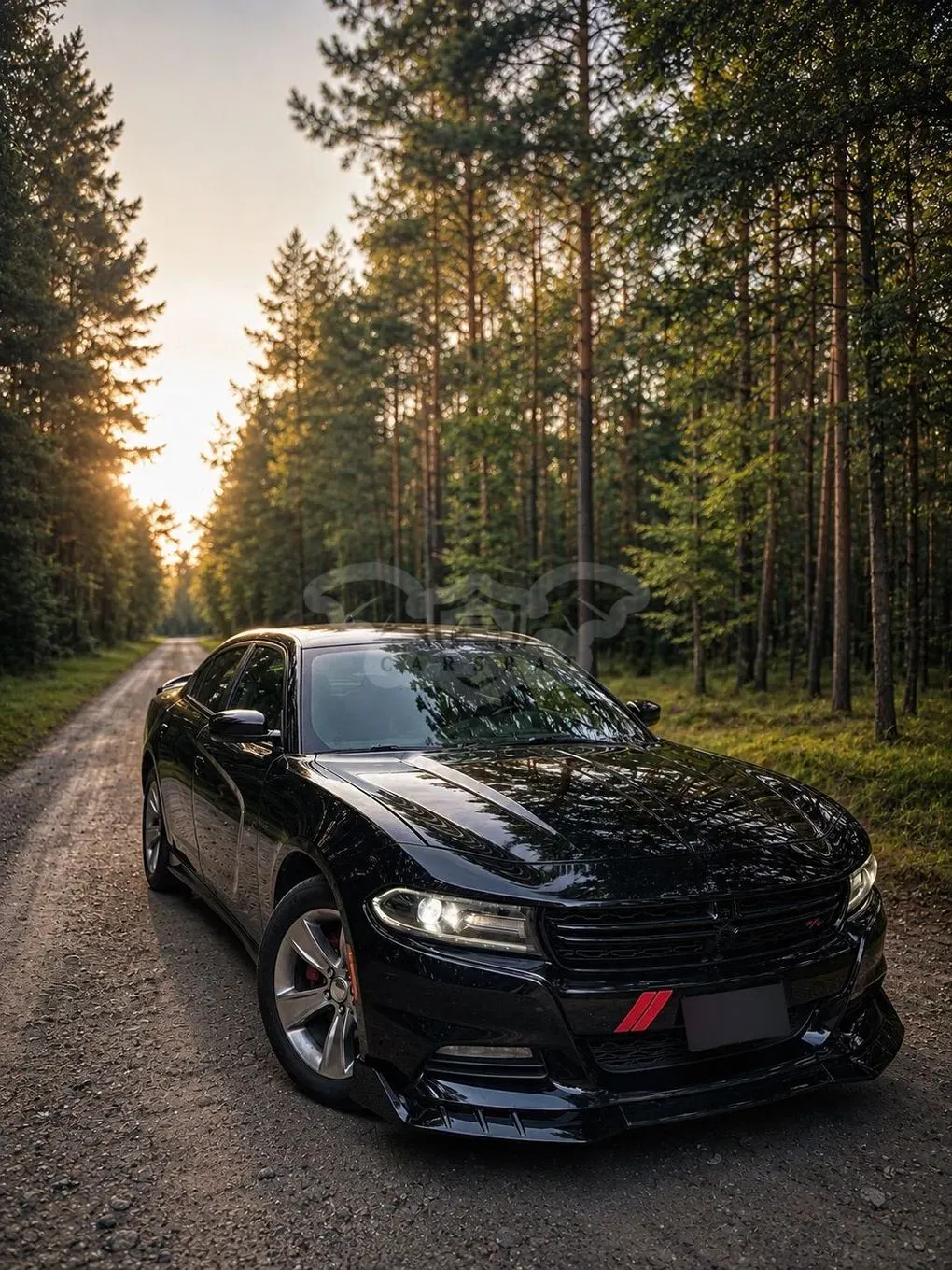 Dodge Charger Automatik Rally 2016