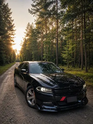 Dodge Charger Automatik Rally 2016