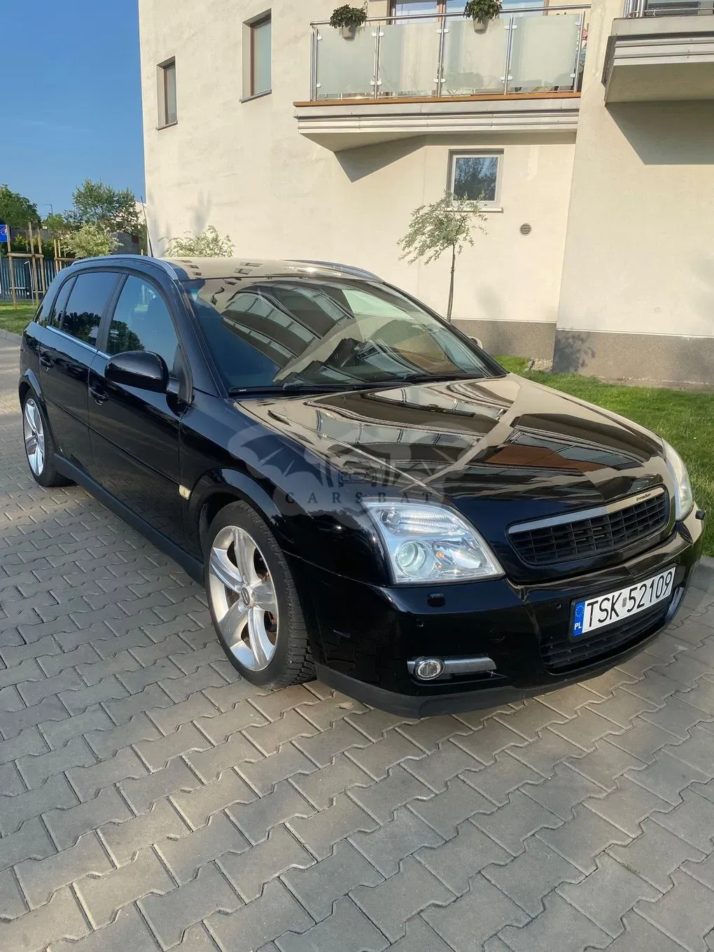 Opel Signum 2.2 Sport ActiveSelect 2003
