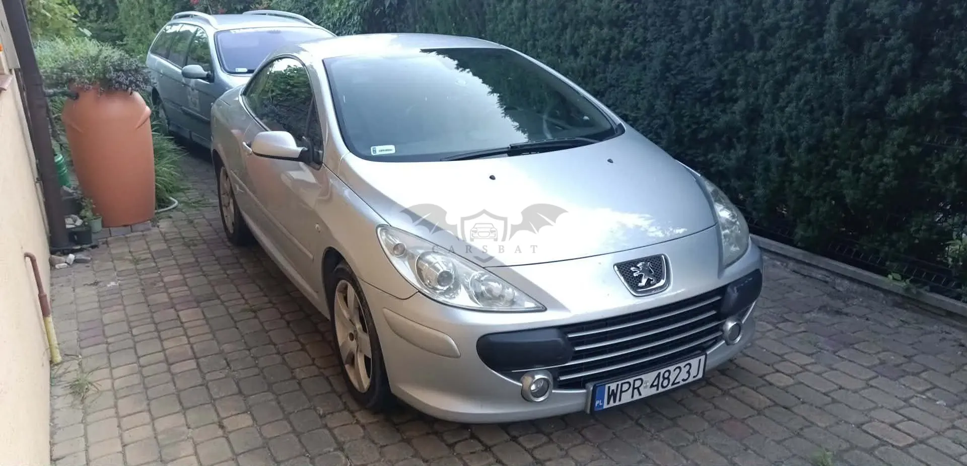Peugeot 307 2007