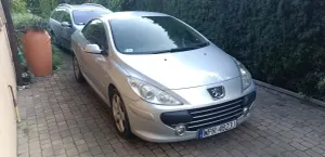 Peugeot 307 2007