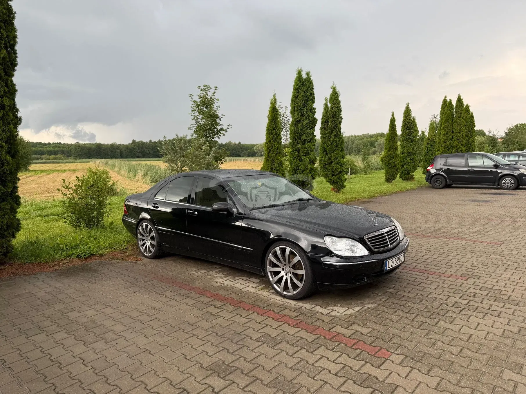 Mercedes-Benz S W220 (1998-2005) 320 1999