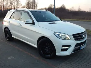 Mercedes-Benz ML W166 (2011-2015) 350 BlueTEC 4MATIC 7G-TRONIC 2014