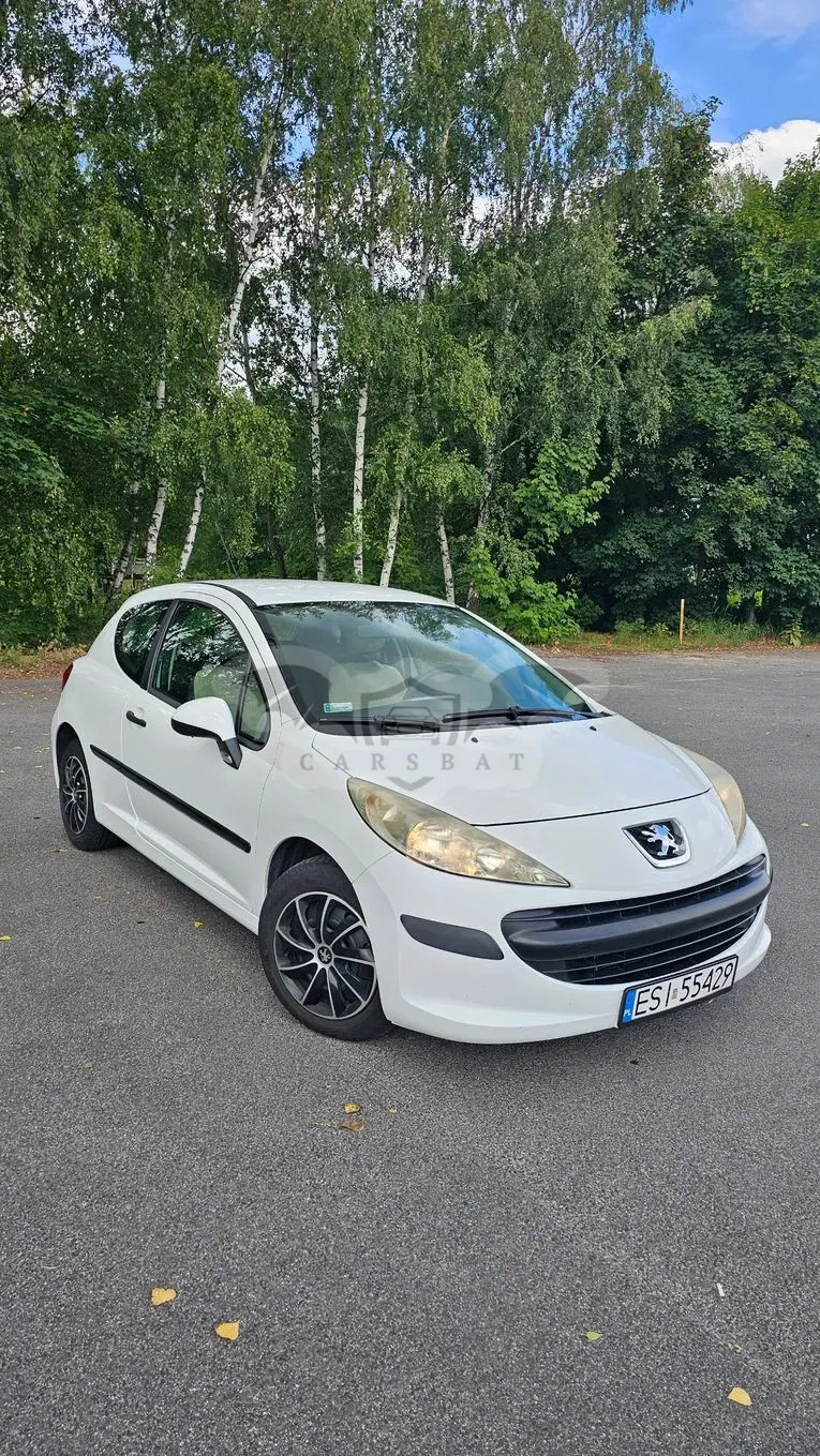 Peugeot 207 90 HDi FAP (Blue Lion) Filou 2007