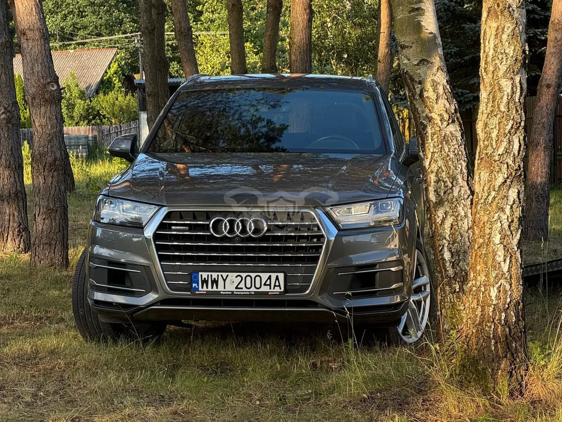 Audi Q7 II (2015-) 2016