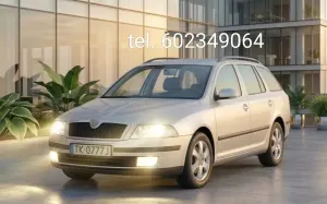 Skoda Octavia II (2004-2013) 1.9 TDI Ambiente 2007