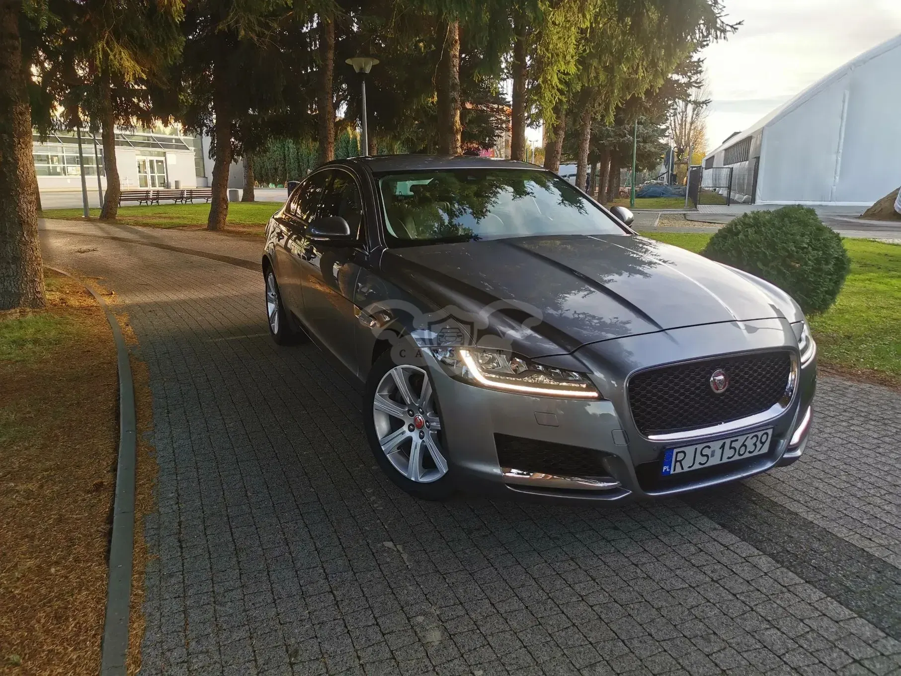 Jaguar XF X260 (2015-) 2.0 i4D Prestige 2019