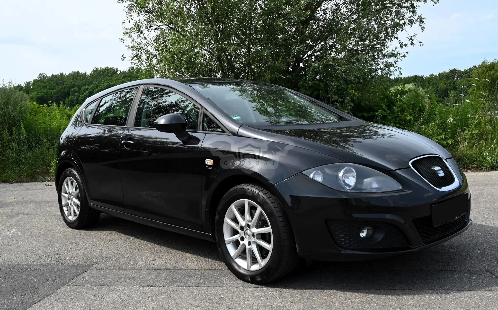 Seat Leon II (2005-2012) 2010