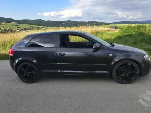 Audi A3 8P (2003-2012) 2006