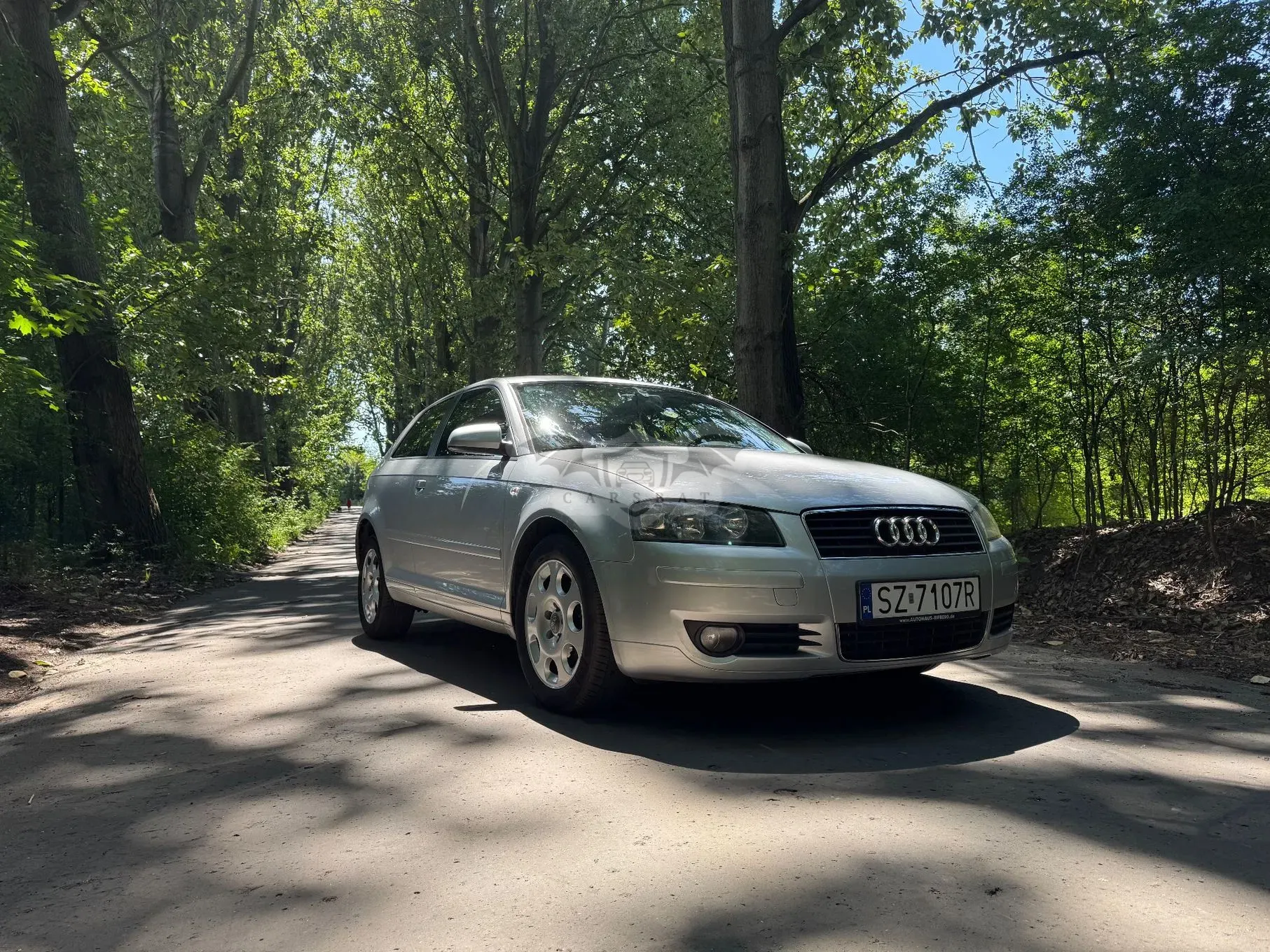 Audi A3 8P (2003-2012) 2003
