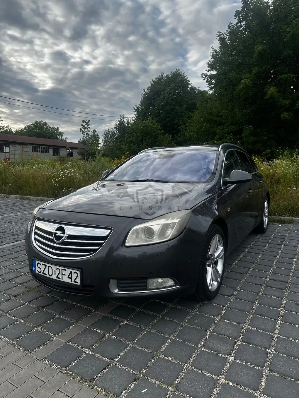 Opel Insignia A (2008-2017) 2.0 CDTI 2009