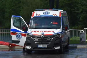 Renault Master IV (2010-) 2024