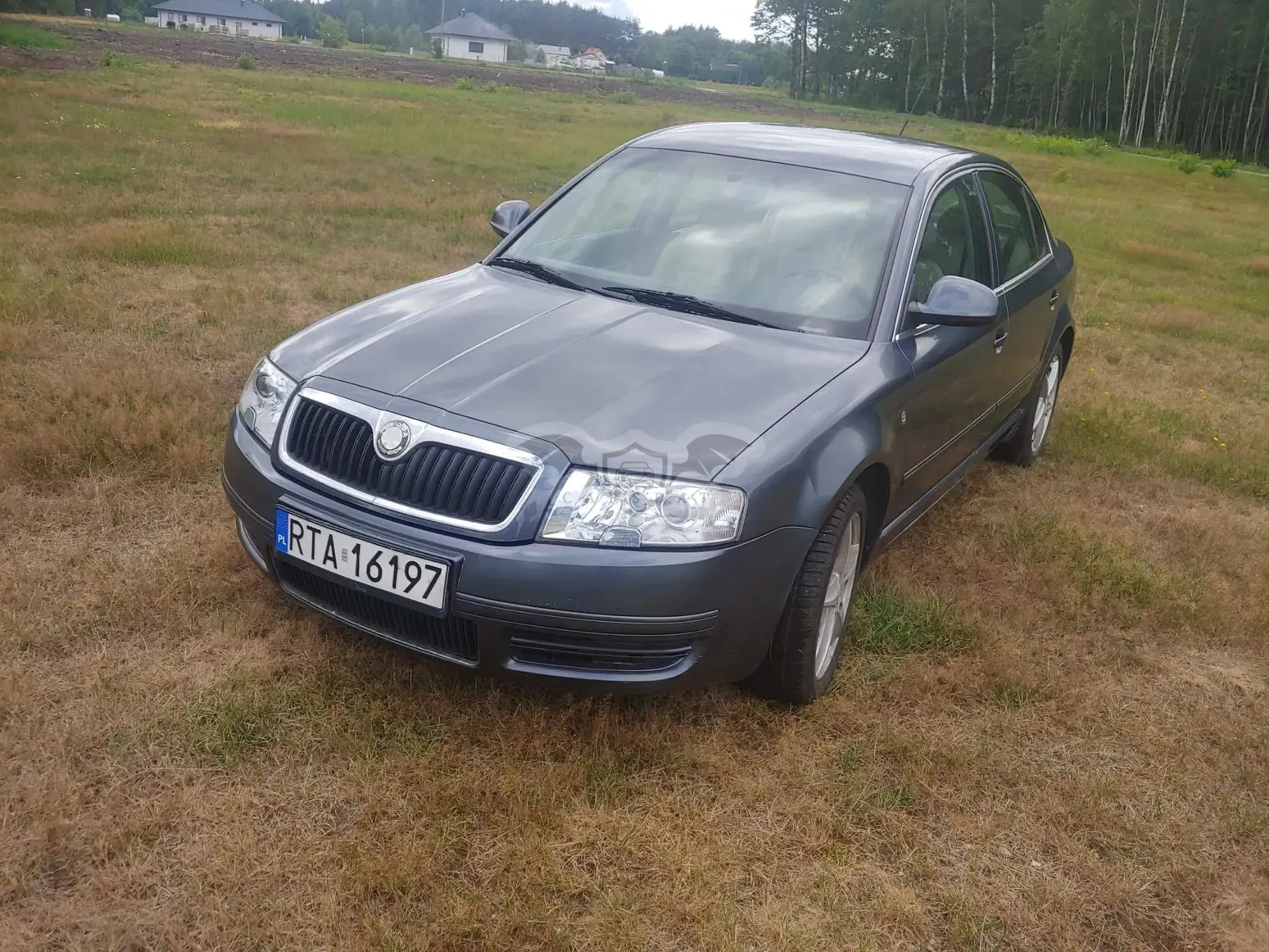 Skoda Superb I (2001-2008) 2.0 TDI DPF 2007