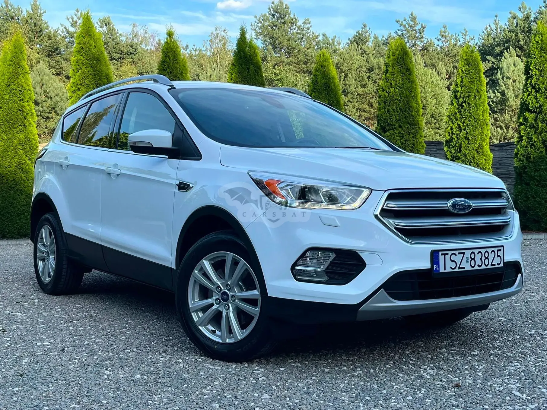 Ford Kuga II (2012-) 1.5 TDCi 2x4 Business Edition 2016