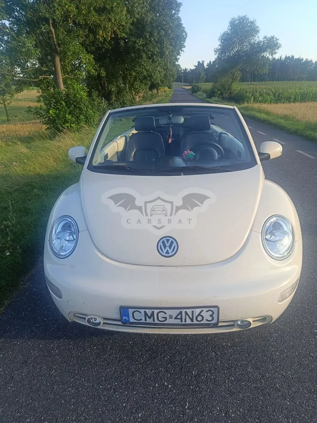 Volkswagen Beetle 2004