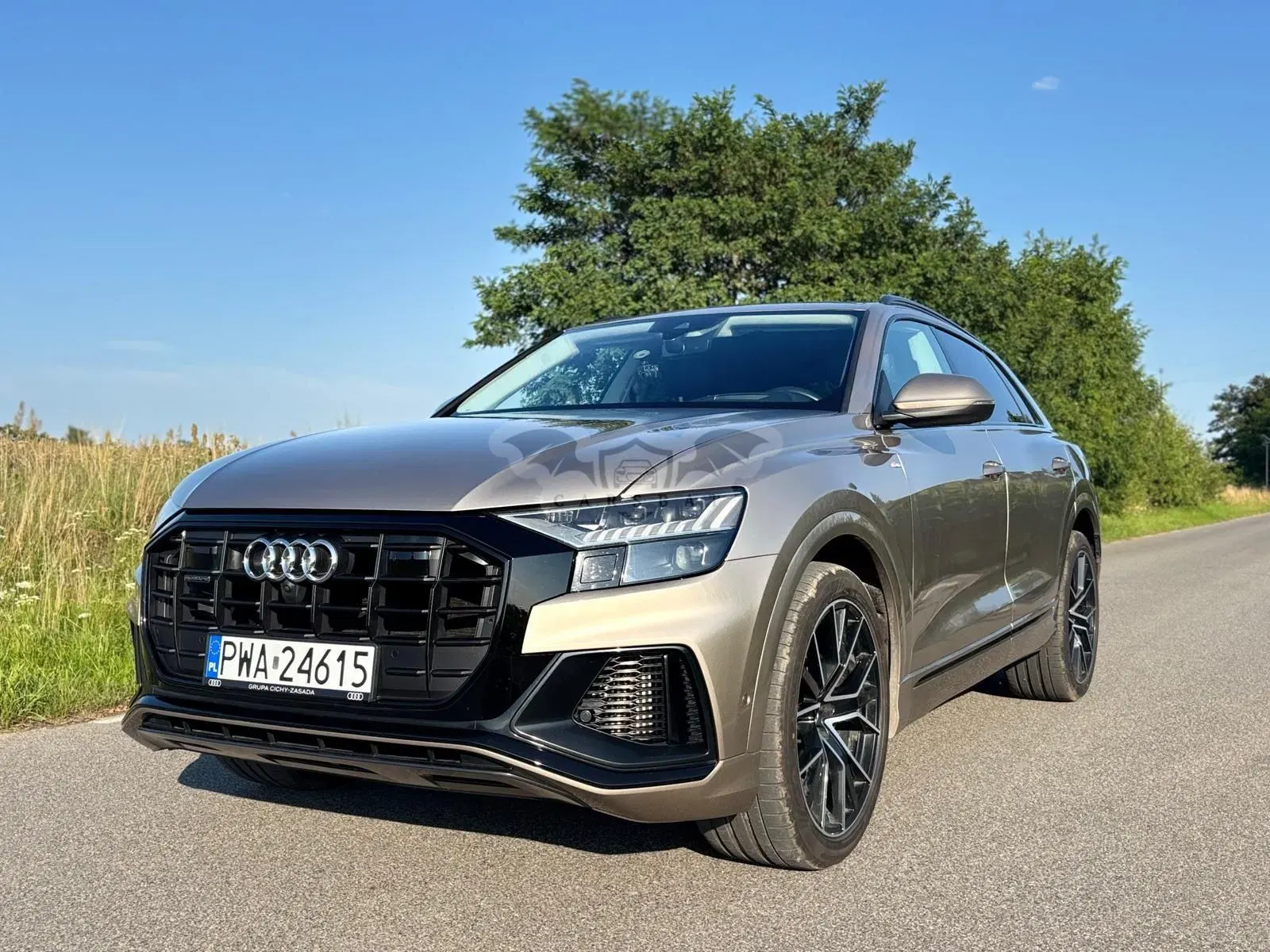 Audi Q8 55 TFSI mHEV Quattro Tiptronic 2019