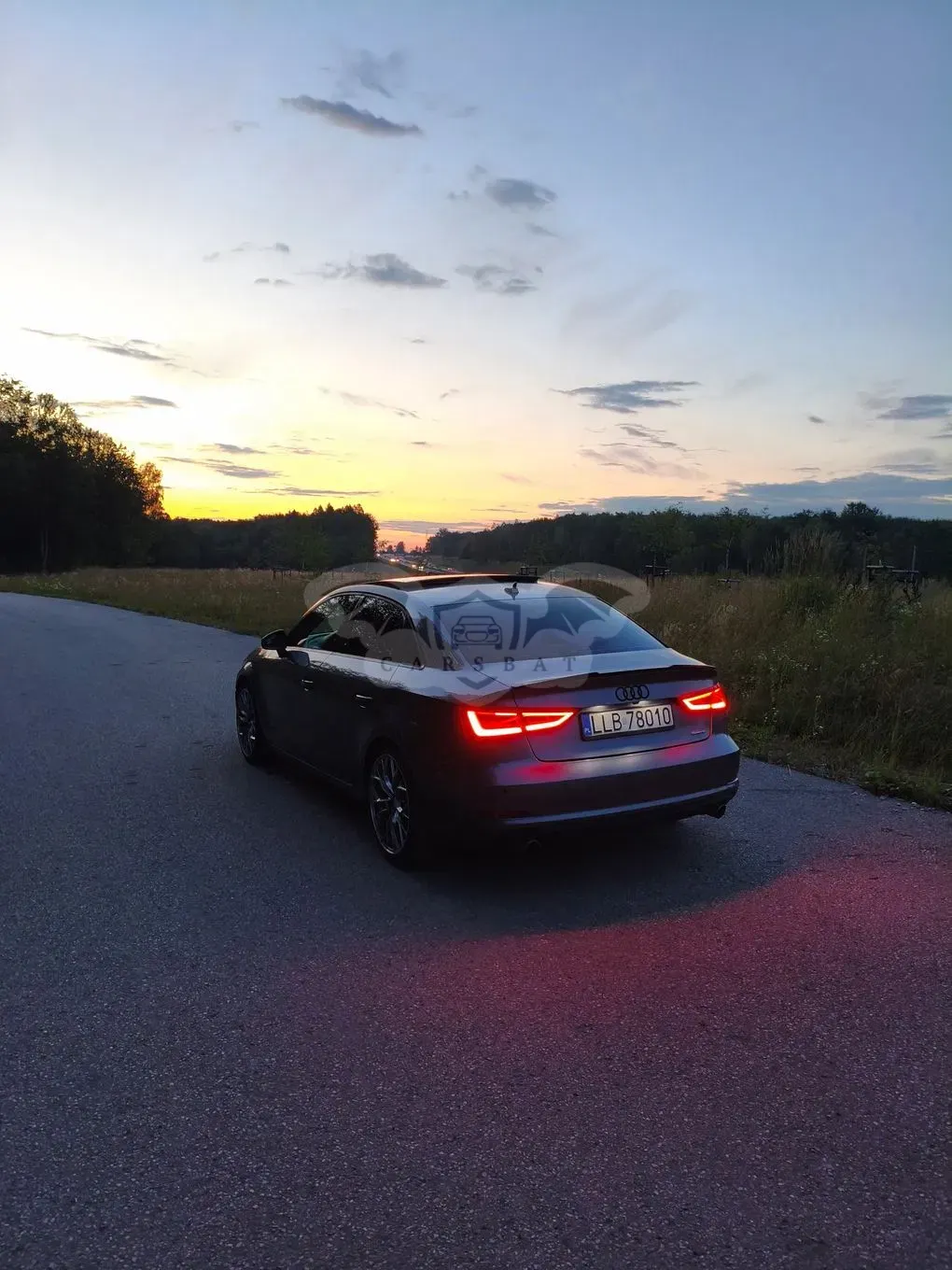 Audi A3 8V (2012-) 2.0 TFSI quattro S tronic sport 2016