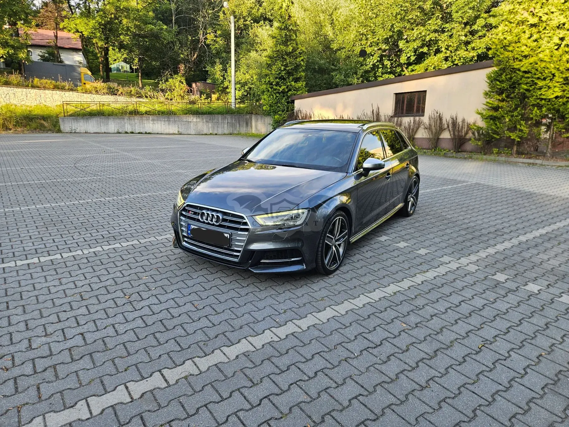 Audi S3 8V (2012-2020) 2017