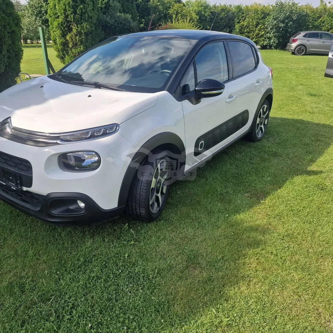 Citroën C3 III (2016-2024) 2019