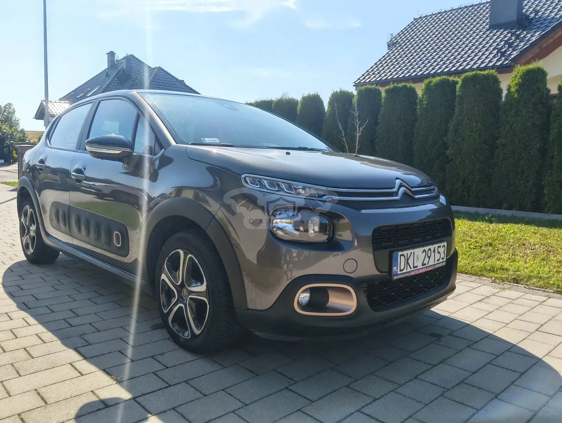 Citroën C3 III (2016-2024) 1.2 PureTech Origins S&S 2019