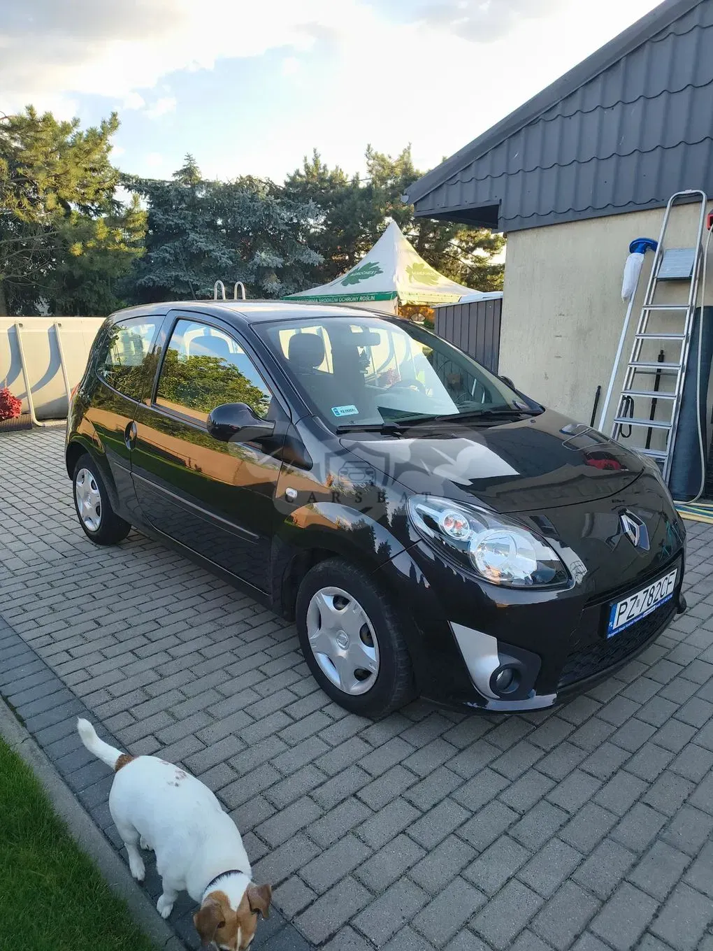 Renault Twingo II (2007-2014) 1.5 dCi Authentique 2009