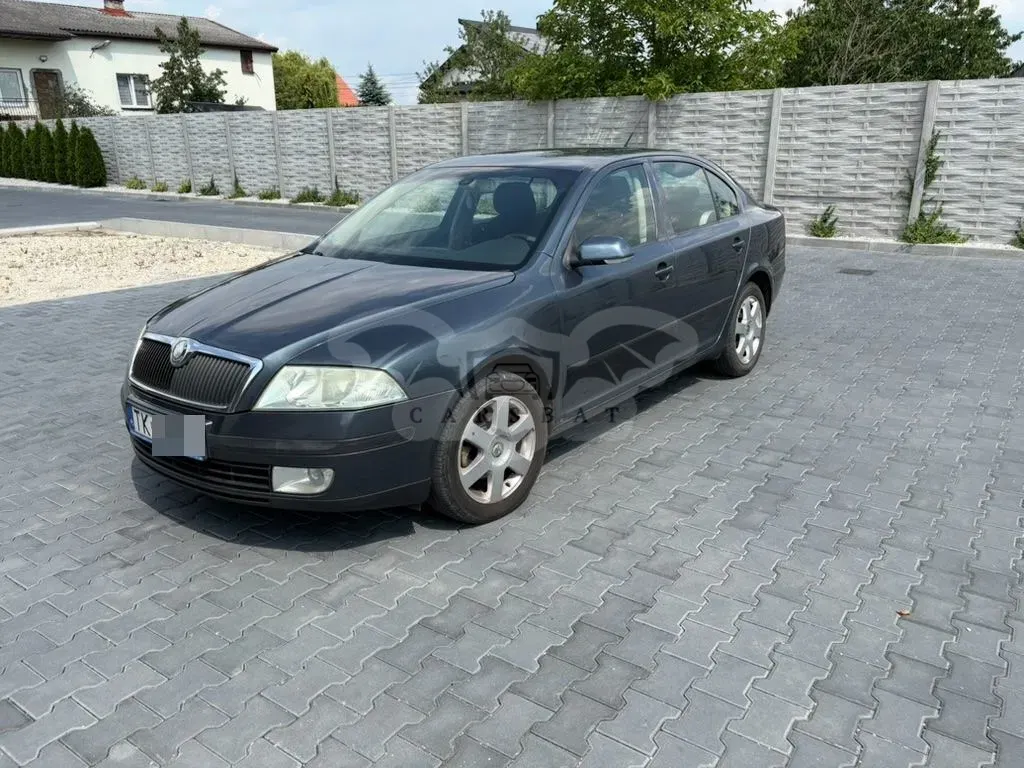 Skoda Octavia II (2004-2013) 1.9 TDI Elegance 2004