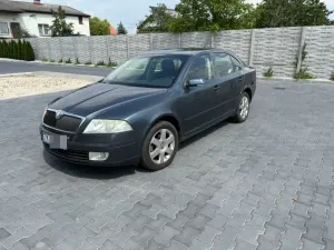 Skoda Octavia II (2004-2013) 1.9 TDI Elegance 2004