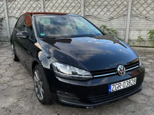 Volkswagen Golf VII (2012-2020) 2013