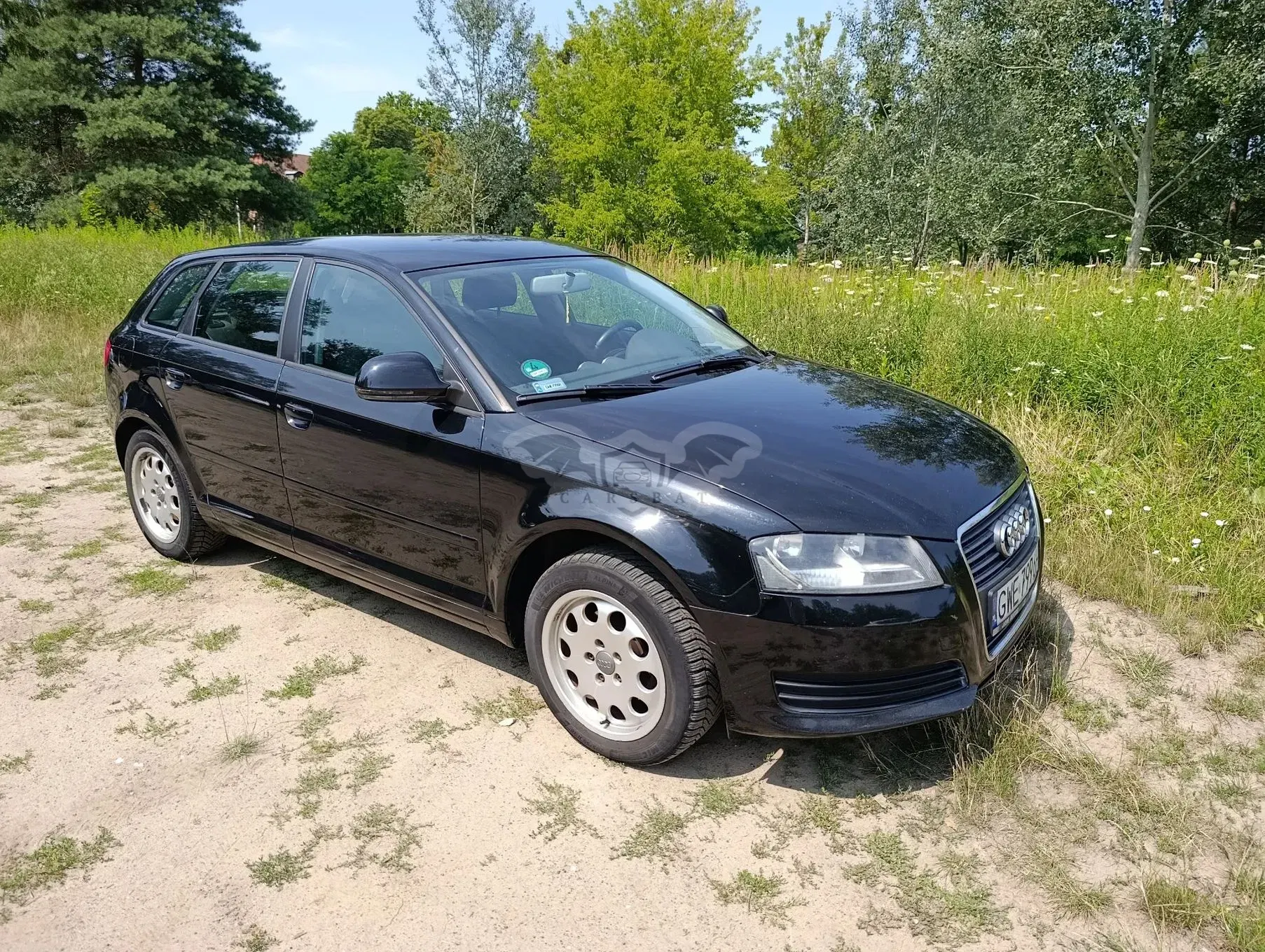 Audi A3 8P (2003-2012) 2009