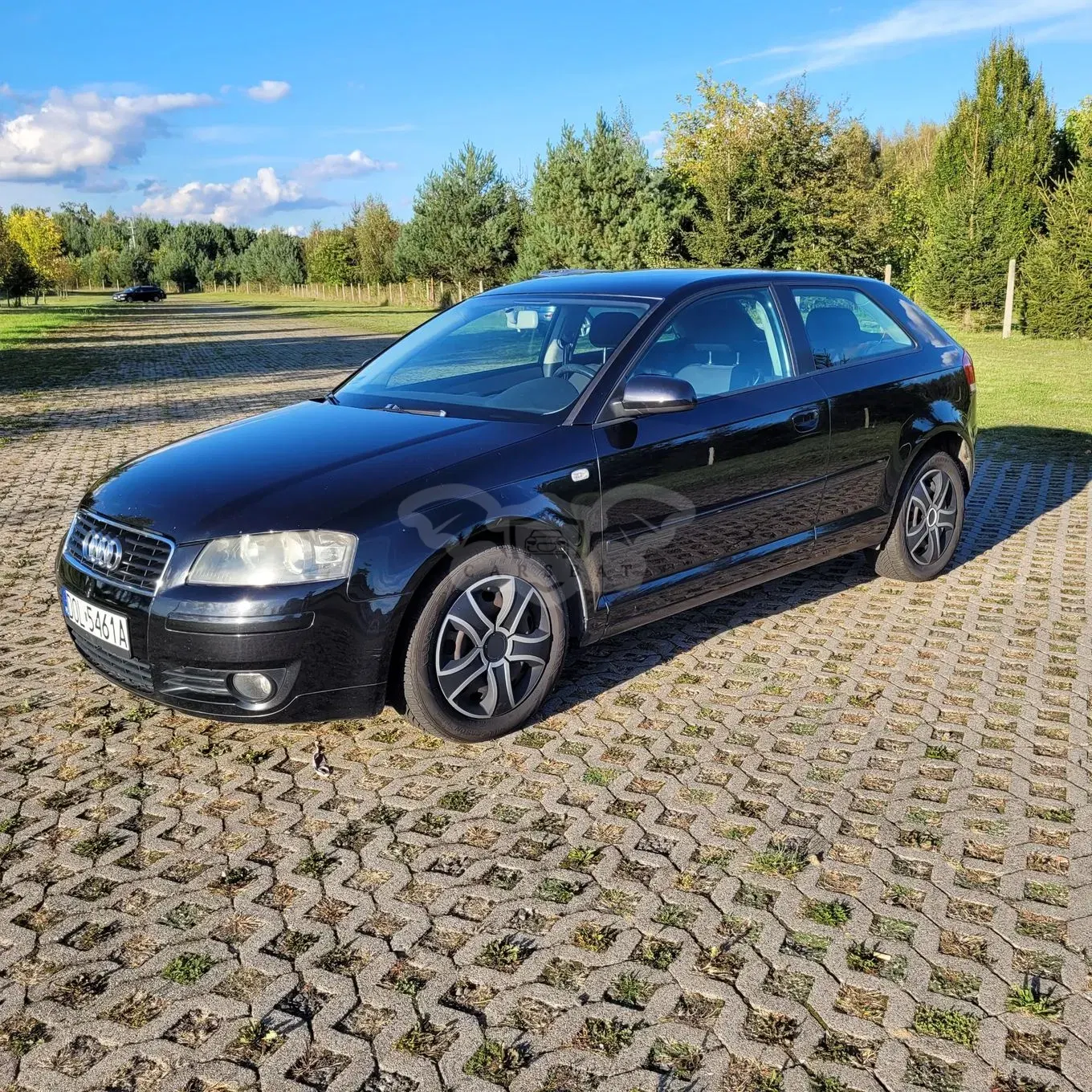 Audi A3 8P (2003-2012) 2003