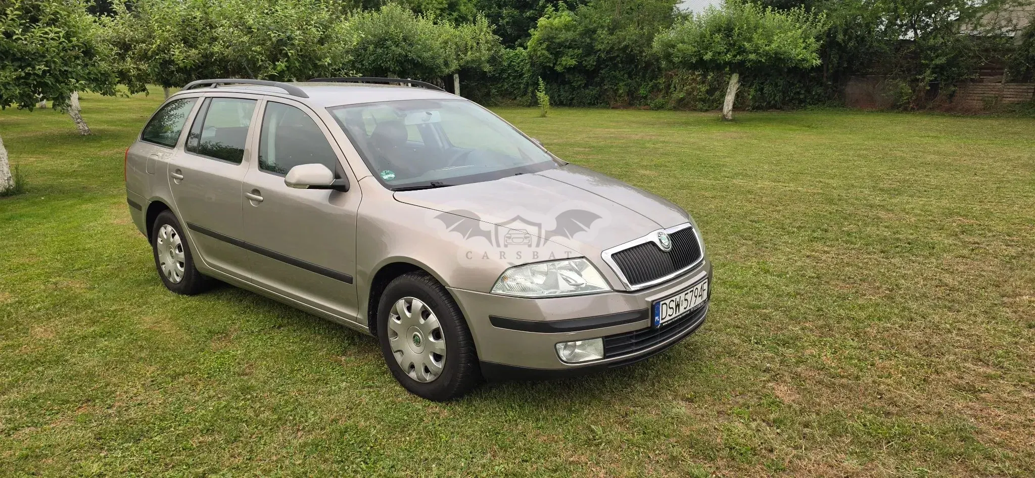 Skoda Octavia II (2004-2013) 1.9 TDI Elegance DSG 2007