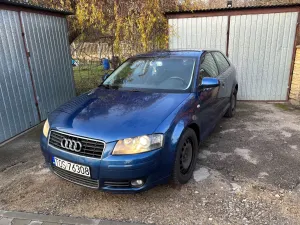 Audi A3 8P (2003-2012) 1.6 Ambiente 2004
