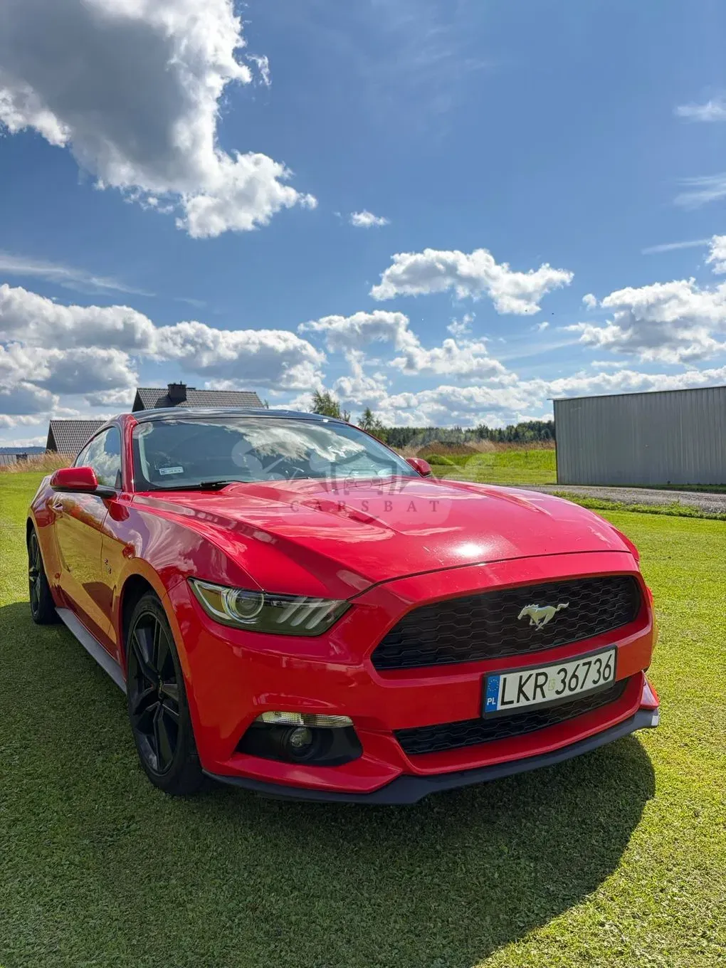 Ford Mustang 2017