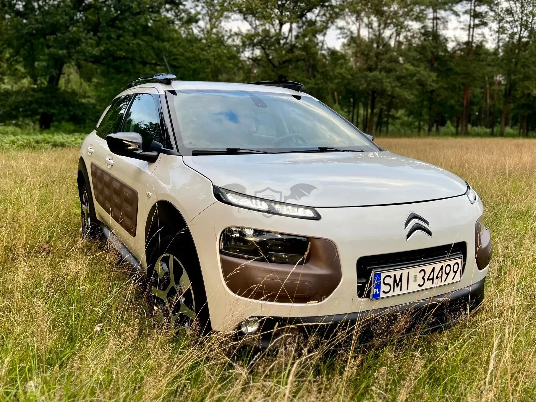 Citroën C4 Cactus BlueHDi 100 Stop&Start Shine Edition 2017