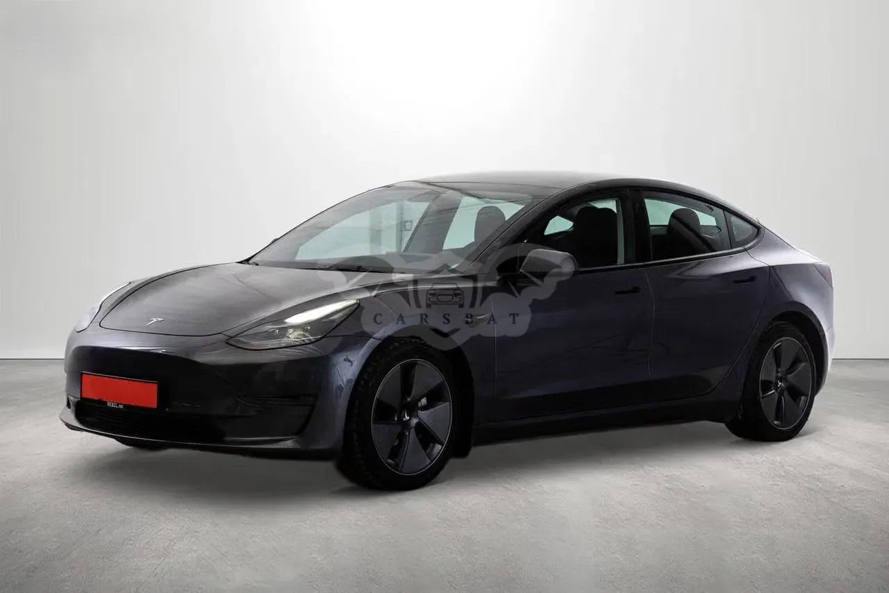 Tesla Model 3 Allradantrieb Dual Motor Performance 2021