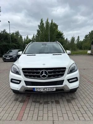 Mercedes-Benz ML W166 (2011-2015) 250 BlueTEC 4-Matic 2014