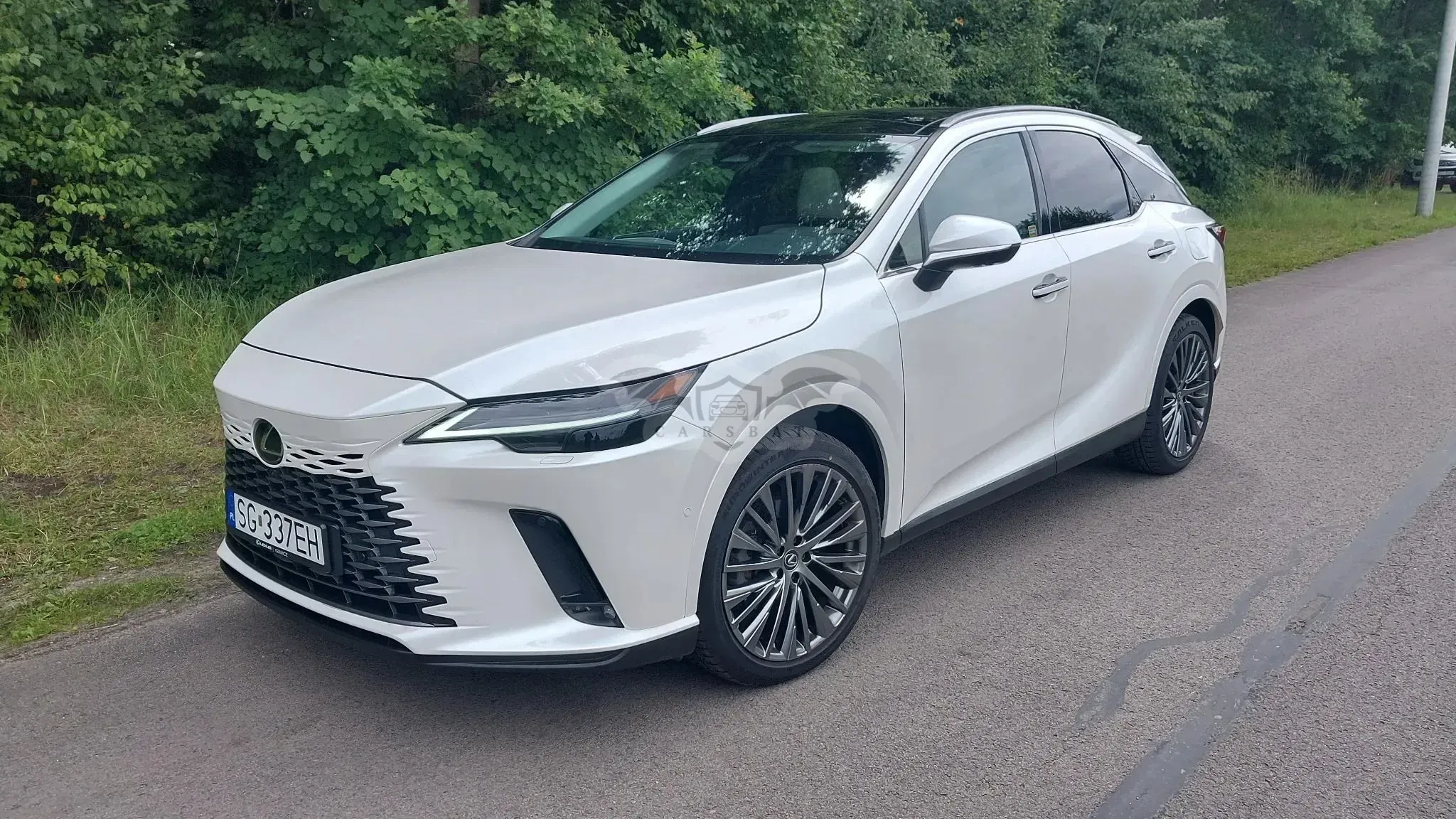 Lexus RX V (2022-) 350h Omotenashi 2023
