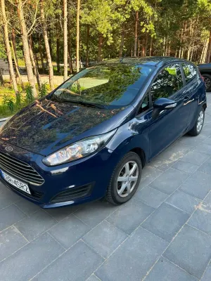 Ford Fiesta Mk7 (2008-) 2013