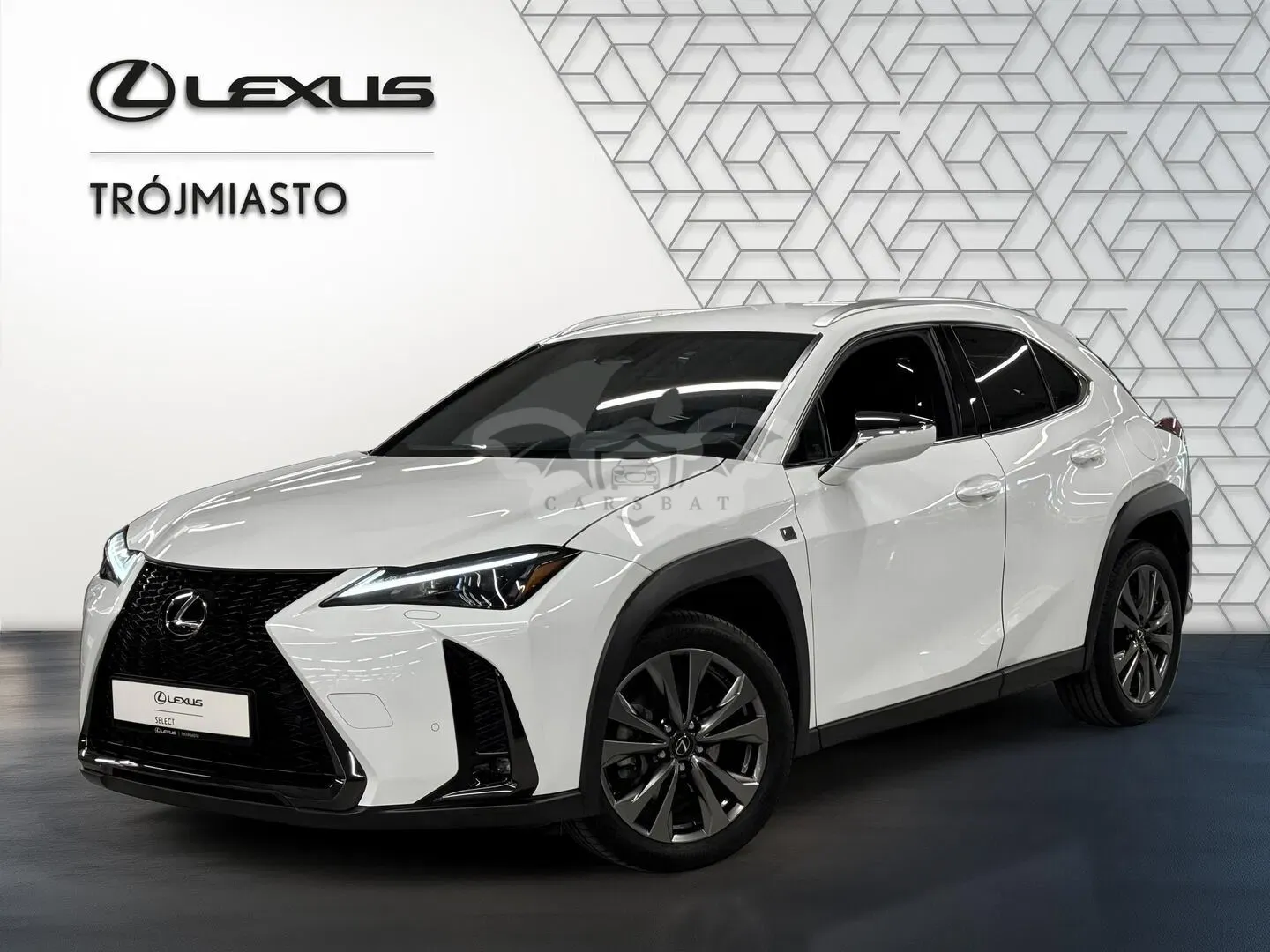 Lexus UX 300h F Sport Design AWD 2025