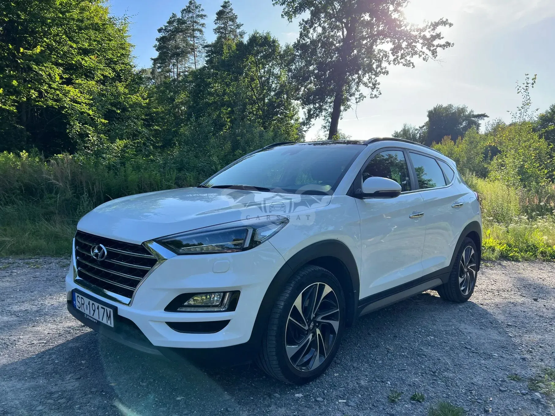 Hyundai Tucson III (2015-2020) 1.6 T-GDi Premium 4WD DCT 2019