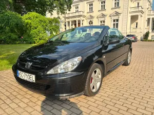 Peugeot 307 I (2001-2005) 135 Sport 2004