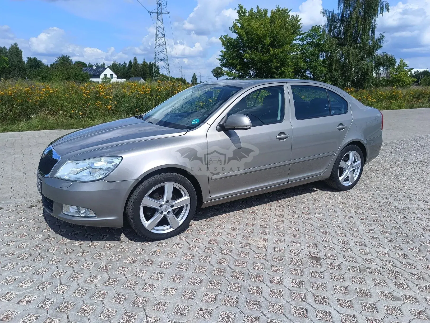 Skoda Octavia II (2004-2013) 2010