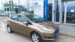 Ford Fiesta Mk7 (2008-) 1.25 Silver X (Trend) EU5 2015