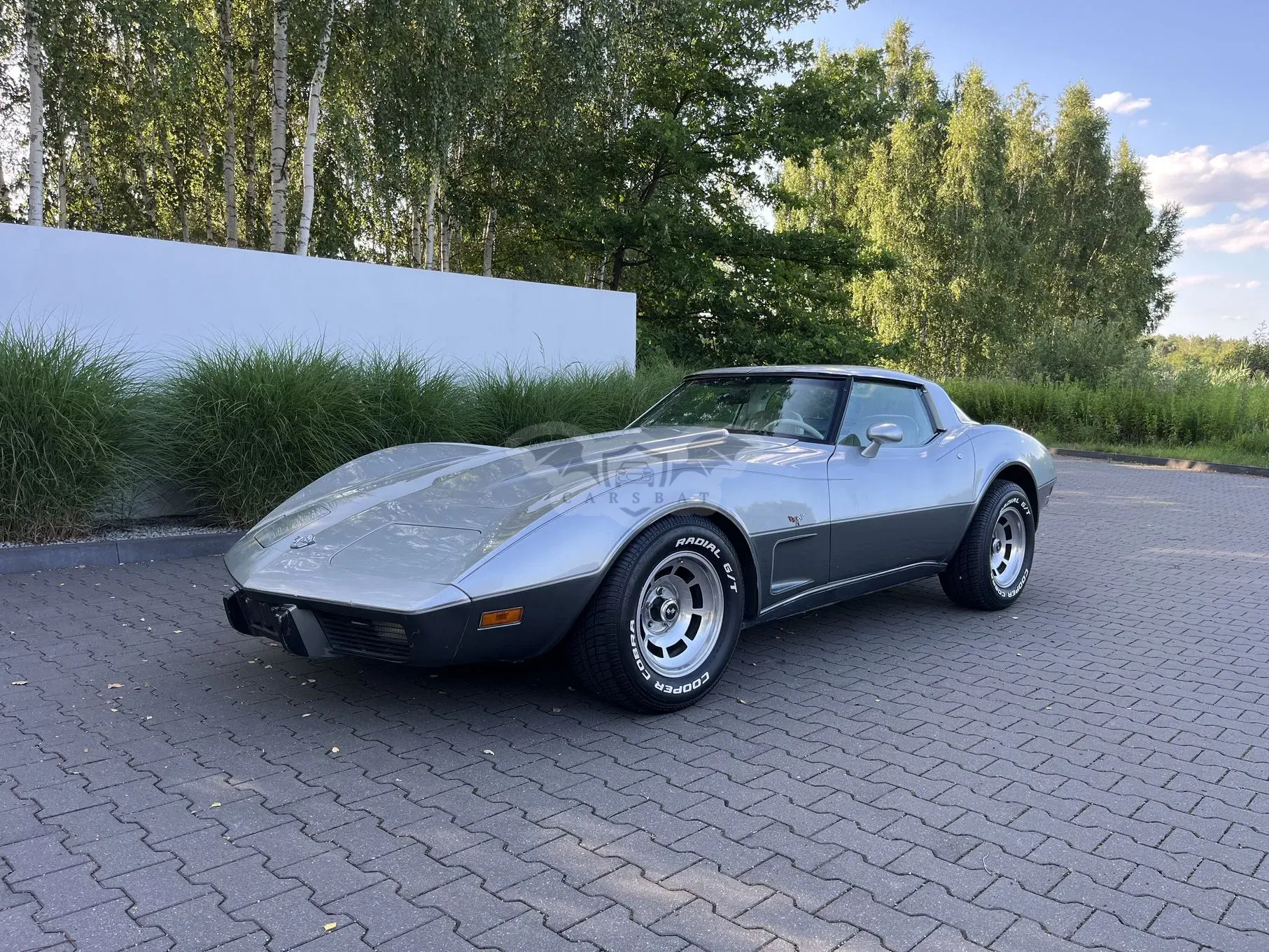 Chevrolet Corvette C3 (1967-1982) 1978