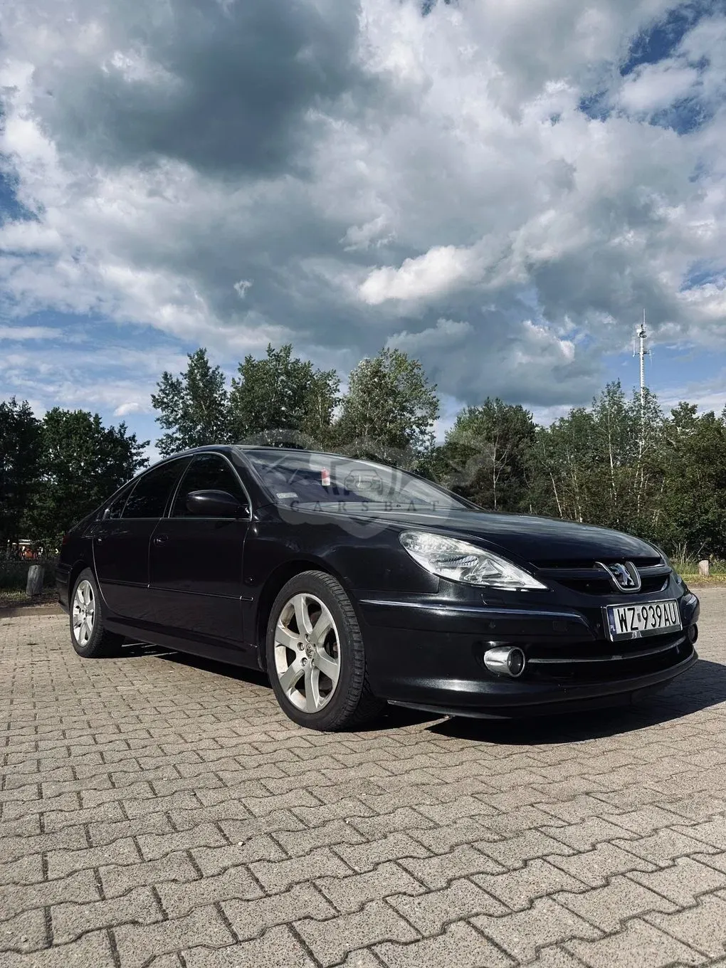 Peugeot 607 3.0 Platinum 2007