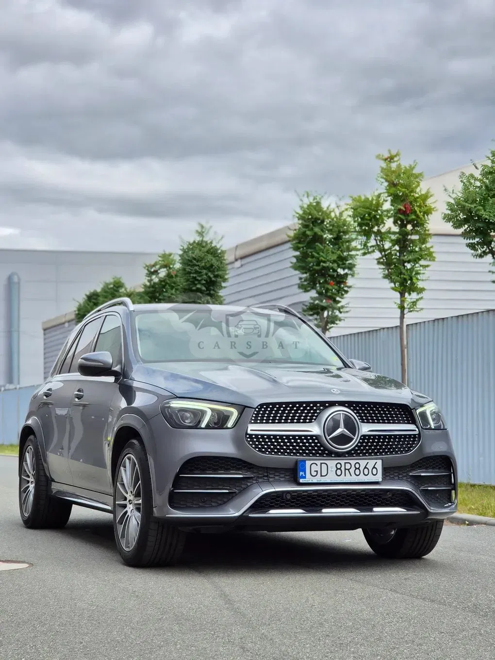 Mercedes-Benz GLE W167 (2019-) 300 d 4-Matic 2019