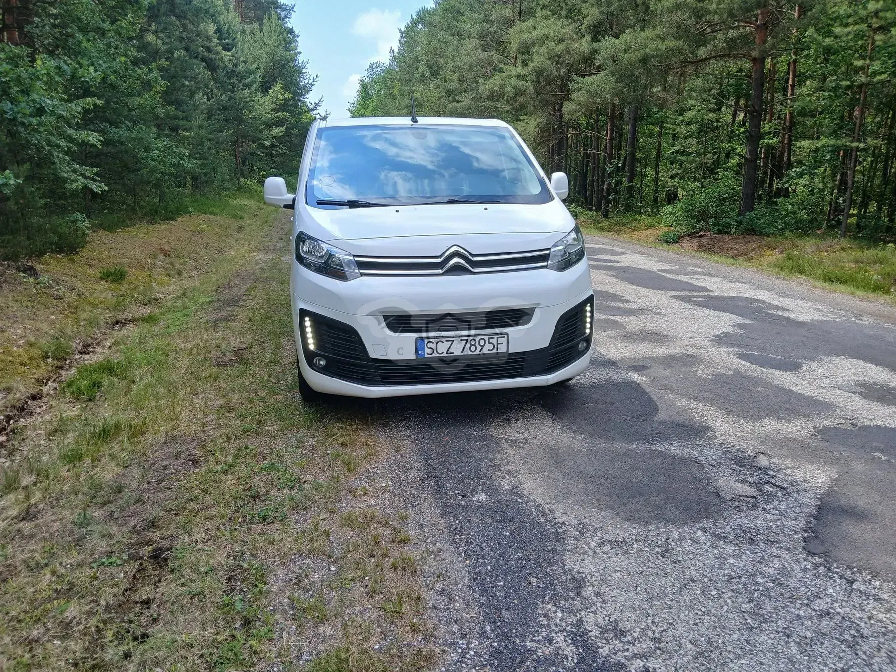 Citroën Jumpy 2019