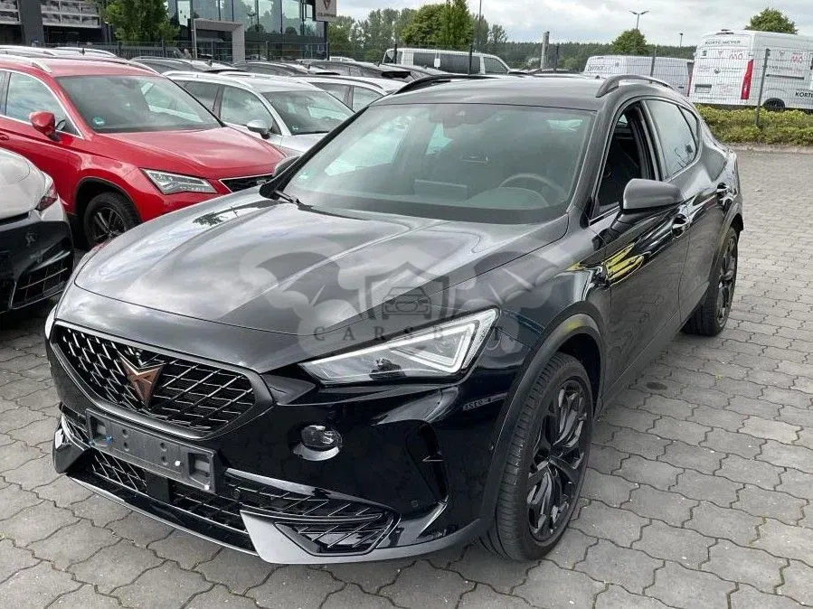 Cupra Formentor VZ 2.0 TSI 4Drive DSG Tribe Edition 2024