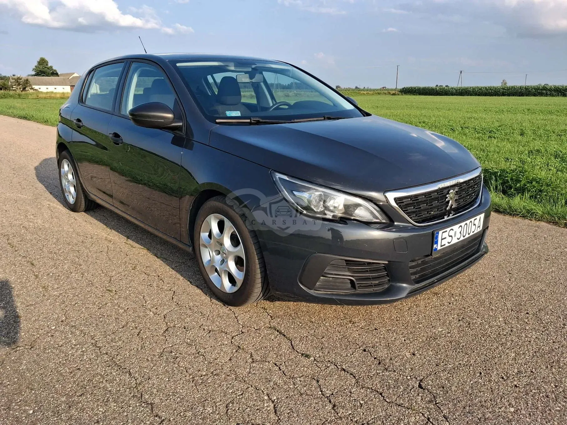 Peugeot 308 T9 (2014-2021) 1.6 BlueHDi Active S&S 2017