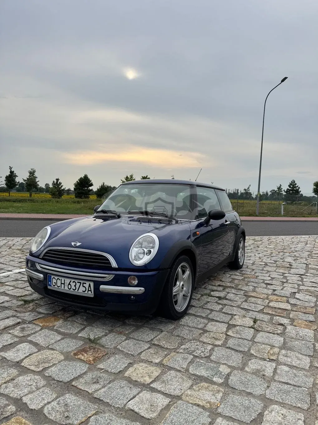 Mini Cooper pepper 2002